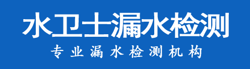 东港区暗管漏水检测